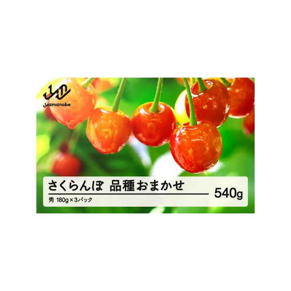 ■ 容量　秀品 約540g(180g×3)　消費期限：発送後 3日以内　※到着後はお早めにお召し上がりください。■ 配送について　6月上旬頃から7月上旬頃にかけて順次発送　※発送時期は、例年の発送時期を記載しております。天候や収穫状況により...