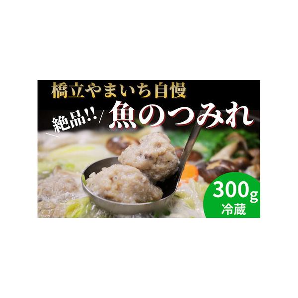 ふるさと納税 橋立やまいち自慢の魚のつみれ 1パックセット（冷蔵）300g つみれ 魚 鍋 京都府 宮津市 京都府宮津市