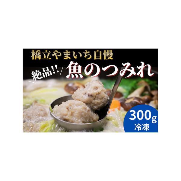 ふるさと納税 橋立やまいち自慢の魚のつみれ 1パックセット（冷凍）300g つみれ 魚 鍋 京都府 宮津市 京都府宮津市
