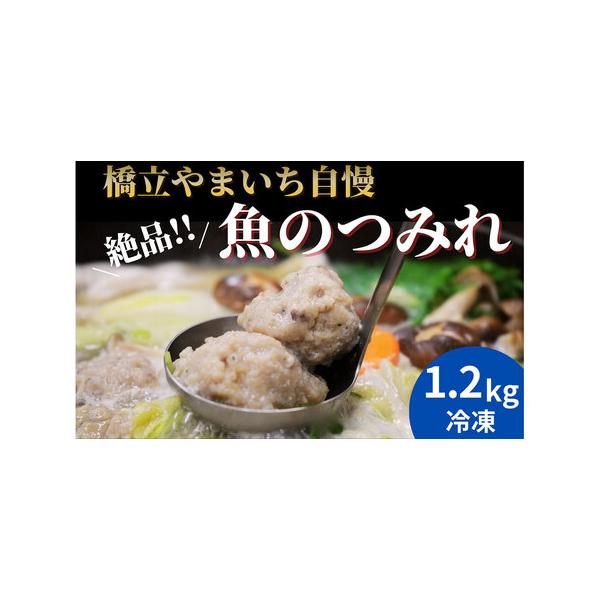 ふるさと納税 橋立やまいち自慢の魚のつみれ 4パックセット（冷凍）1200g つみれ 魚 鍋 京都府 宮津市 myz02 myz11 myz17 京都府宮津市