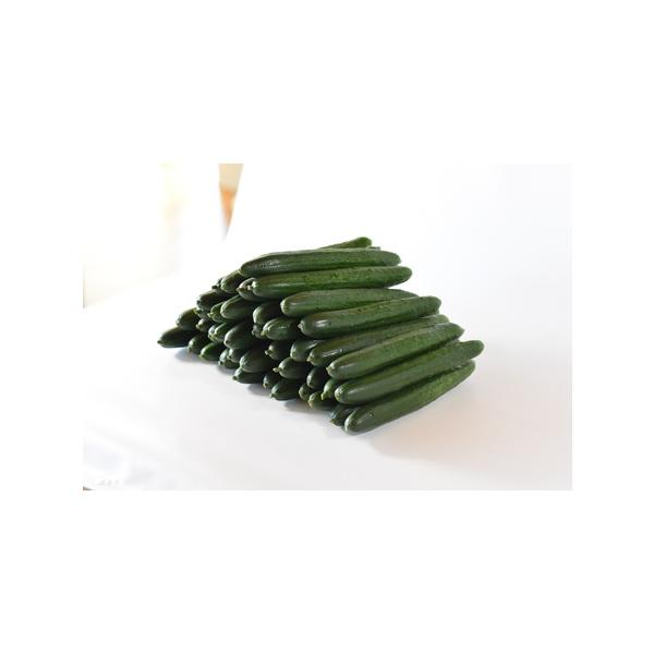 ■ 容量　入金確認後、翌月より3ヶ月連続で発送　例）12月入金確認分：1月・2月・3月にお届け　＜内容量(1回分)＞　約2kg(3本入り×5袋)　※全3回で総量約6kg　▼賞味もしくは消費期限　常温で一週間　※直射日光、高温多湿を避けてくだ...