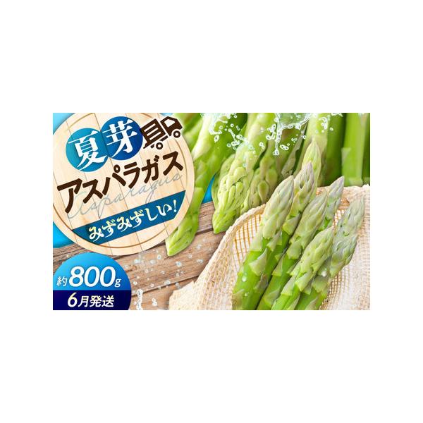 ■ 容量　約800g（2LからMサイズの混載）　　※より新鮮な状態でお届けするため、あえて規格より10cmほど長く収穫しています。調理の際は根元を少し切り落として、一番美味しい状態をお楽しみください。■ 配送について　【夏芽】2026年6月...
