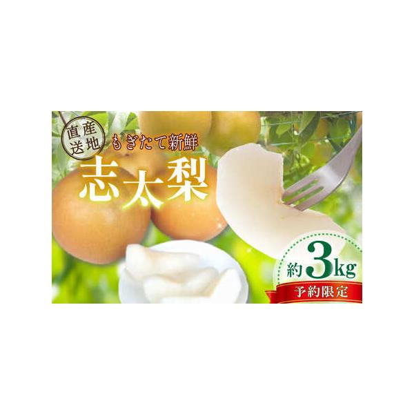 ■ 容量　梨（静岡県産）約3kg　■ 配送について　2026年8月初旬以降発送予定　※指定日を承ることはできません　※申込件数や収穫状況により、お届けまでに1か月程度お待ちいただく場合がありますのであらかじめご了承ください　※ご不在日がある...