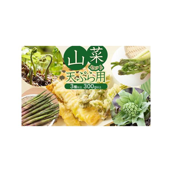 ■ 容量　・山菜セット天ぷら用　（3種以上）　計300g以上　　こしあぶら、タラの芽、コゴメ（こごみ）、山ウド、月山筍、わらび、ふきのとうの中から3種以上（計300g以上）をお送りします。　（こしあぶら、タラの芽のどちらかは必ず含まれます）...