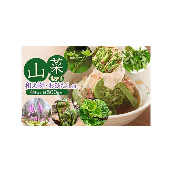■ 容量　・山菜セット和え物　おひたし用　（4種以上）　計500g以上　　こしあぶら、タラの芽、山うるい（オオバギボウシ）、野みつば、かたくりの花、あぶらこごめ（赤こごみ）、コゴメ（こごみ）、あいこ、水ふき、赤ミズ　の中から4種以上、合計5...