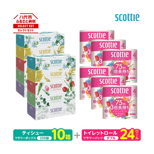 ふるさと納税 トイレットペーパー ダブル 24ロール ＋ ティッシュ 10箱 セット スコッティ ティッシュ トイレット 熊本県八代市