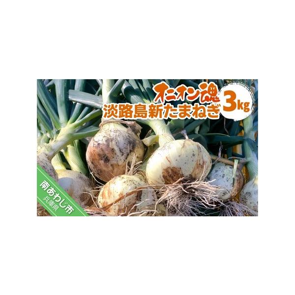■ 容量　新玉ねぎ 3kg■ 配送について　3月上旬以降、順次発送します。　※天候・収穫状況により発送時期が前後する場合がございます。　タイプ：【常温】