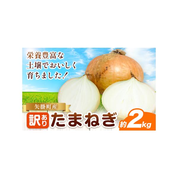 ■ 容量　約2kg■ 配送について　5月末〜7月中旬頃に出荷予定　タイプ：【常温】