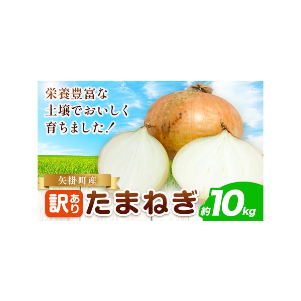 ■ 容量　約10kg■ 配送について　5月末〜7月中旬頃に出荷予定　タイプ：【常温】