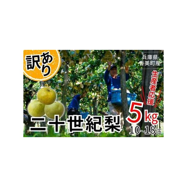 ■ 容量　【容量】　【訳あり 生産者応援商品】二十世紀梨 約5kg（L〜5Lサイズ混合 10-18玉）　　【賞味期限】　青果のため、返礼品到着後はお早めにお召し上がりください。■ 配送について　※配送不可地域：北海道・沖縄県・一部離島　※お...