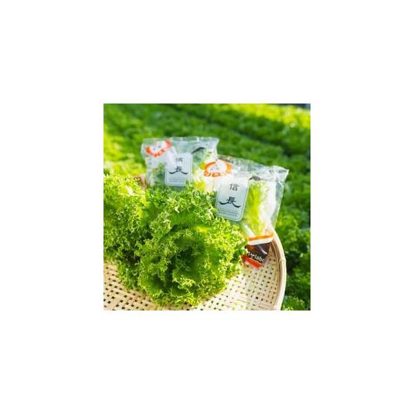 ■ 容量　※上記に記載■ 配送について　お申込み後1〜2週間程度で発送予定　タイプ：【冷蔵】