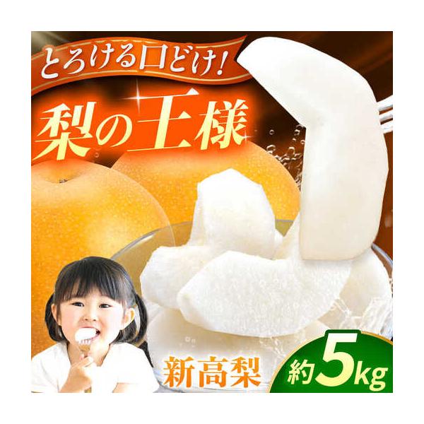 【先行予約】新高梨 約5kg 梨 ナシ フルーツ 果物 【日本フルーツ株式会社】 【ZFJ017】 熊本県山鹿市
