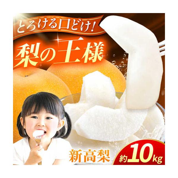 【先行予約】新高梨 約10kg 梨 ナシ フルーツ 果物 【日本フルーツ株式会社】 【ZFJ018】 熊本県山鹿市