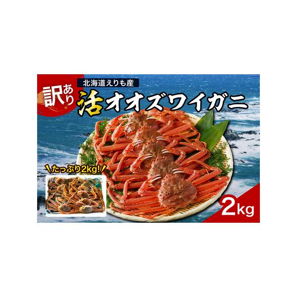 ふるさと納税 『訳あり』活オオズワイガニ2kg入【えりも産】【er004-043-f】 おおずわいがに 大ズワイ 大ズワイガニ ズワイガニ ズワイ 蟹 カ.. 北海道えりも町