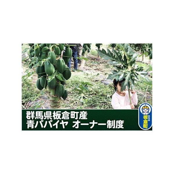 ■ 容量　■名称：青パパイヤ1本オーナー権　■内容：群馬県板倉町産青パパイヤ１株 期間オーナー権　■期間：お申し込み日より〜同年、11月まで（11月15日霜のころ）　■サービス提供地／詳細：・住所：群馬県邑楽郡板倉町大字岩田2356　・最寄...