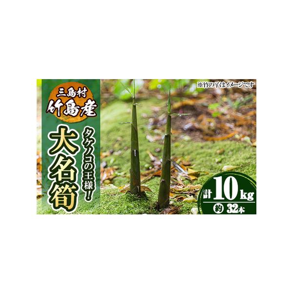■ 容量　《竹島産》大名筍(10kg・約32本)　※収穫物のため本数にばらつきが出ることがあります。■ 配送について　2026年5月初旬以降順次発送予定　配送日時の指定は出来かねますので、ご了承くださいませ。　※申込み多数の場合は、発送が遅...
