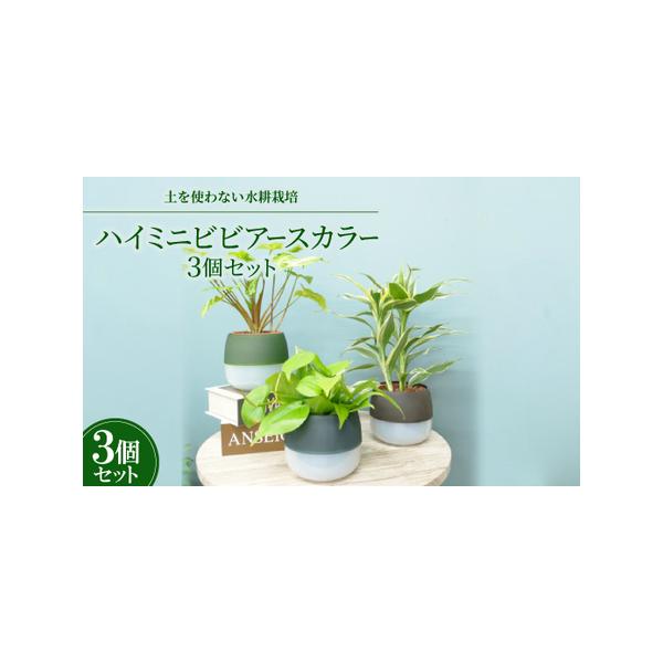■ 容量　※上記に記載■ 配送について　2026年1月より順次発送　タイプ：【常温】