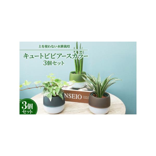 ■ 容量　※上記に記載■ 配送について　2026年1月より順次発送　タイプ：【常温】