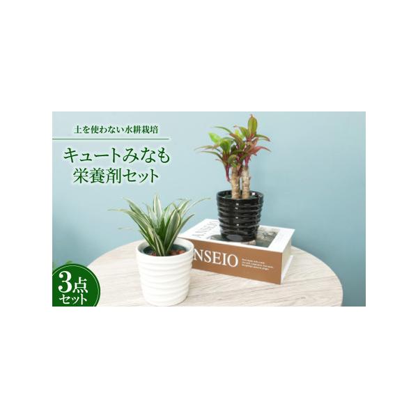 ■ 容量　※上記に記載■ 配送について　2026年1月より順次発送　タイプ：【常温】