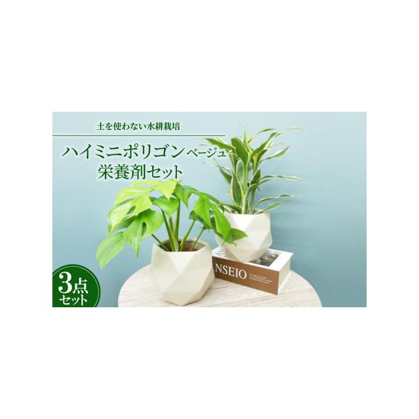 ■ 容量　※上記に記載■ 配送について　2026年1月より順次発送　タイプ：【常温】