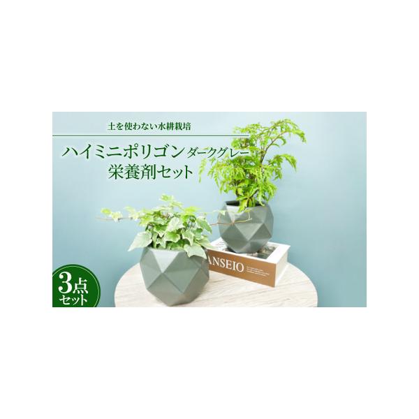 ■ 容量　※上記に記載■ 配送について　2026年1月より順次発送　タイプ：【常温】
