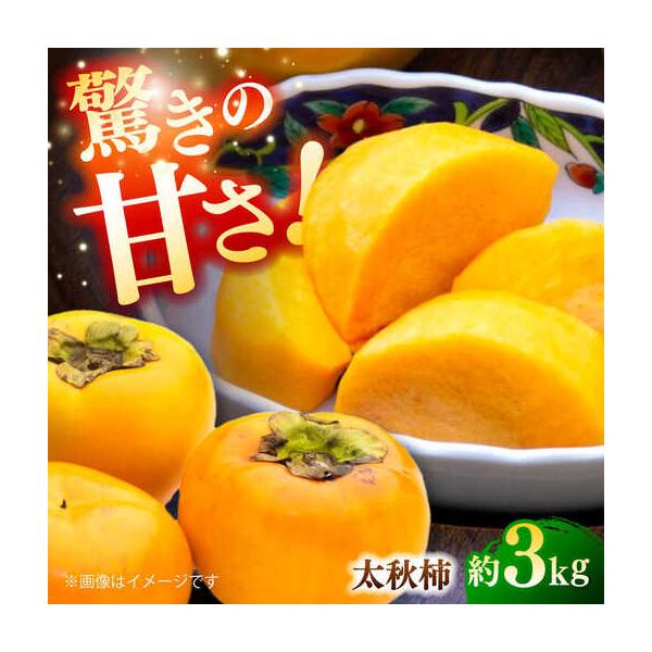 【先行予約】太秋柿 約3kg 柿 カキ フルーツ 果物 秋 【日本フルーツ株式会社】 【ZFJ020】 熊本県山鹿市