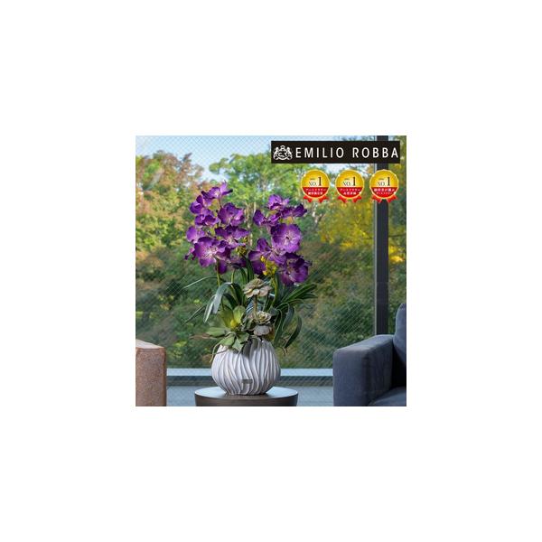 ■ 容量　バンダボタニックpu-XL TTUTA10450　1つ：横幅 50cm× 奥行 50cm× 高さ 76cm (※多少の誤差はございます)　　タイプ：【常温】