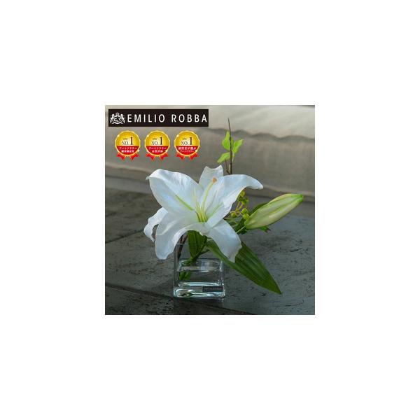 ■ 容量　カサブランカM TTNTA-91120　1個　　タイプ：【常温】