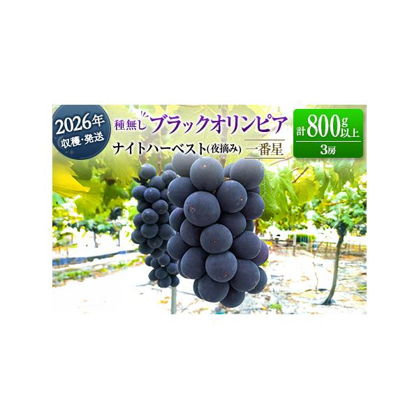 ■ 容量　［ブラックオリンピア（一番星）］計800g以上（3房）■ 配送について　2026年6月中旬〜7月中旬の収穫期間内に出荷　タイプ：【冷蔵】