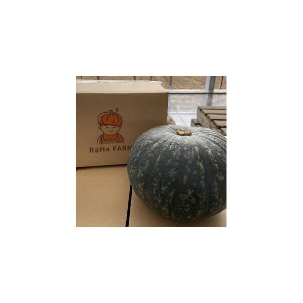 ■ 容量　※上記に記載■ 配送について　2026-10-01〜2026-12-05　タイプ：【常温】