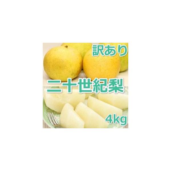 ■ 容量　4kg（6〜13玉前後）　※天候等により発送時期を変更する場合があります。　【賞味期限】　生鮮食品ですのでなるべくお早めにお召し上がりください。■ 配送について　8月下旬から9月下旬まで　【受付期間】　2025年4月1日〜2026...