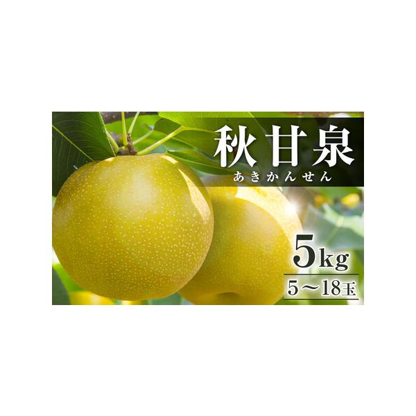 ■ 容量　5kg前後（5〜18玉前後）　※天候等により発送時期を変更する場合があります。　【賞味期限】　生鮮食品ですのでなるべくお早めにお召し上がりください。■ 配送について　2026年9月中旬〜9月下旬頃に順次発送予定　【受付期間】　20...