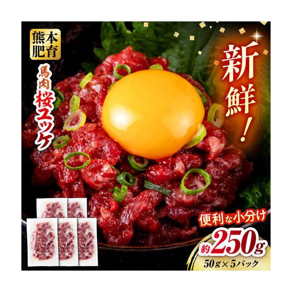 ふるさと納税 令和8年熊本地震復興支援 馬肉 さくらユッケ 50g×5パック 計250g 馬肉 桜ユッケ 赤身 小分け 冷凍[AYBV027] 熊本県合志市