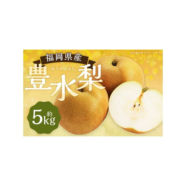 ■ 容量　9〜12玉 約5kg　※玉数はご指定出来かねます。　※箱、風袋含まない■ 配送について　2026年8月下旬から9月下旬順次発送予定　タイプ：【冷蔵】