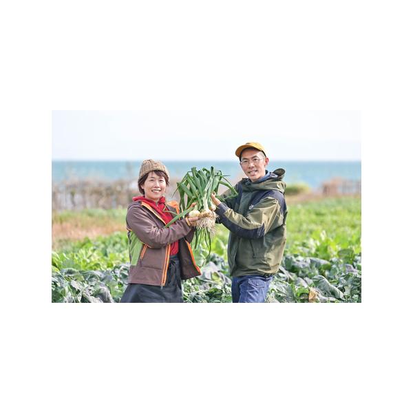 ■ 容量　玉ねぎ2kg（7〜15個位）　　　消費期限：2週間（到着後はなるべくお早めにお召し上がりください。）　　配送方法：常温　■ 配送について　【2026年3月中旬〜5月中旬頃】　　・期間中に収穫でき次第、順次発送いたします。　・受け取...