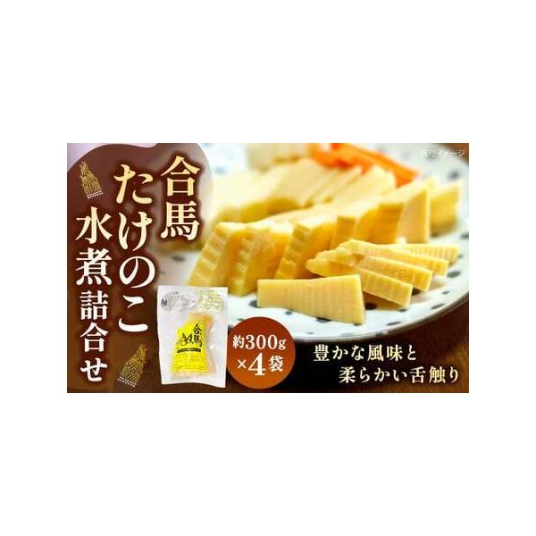 ■ 容量　約300g×4■ 配送について　寄附確認後、14営業日以内に発送予定　タイプ：【常温】