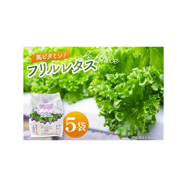 ■ 容量　■内容量　高ビタミンフリルレタス　5袋　　■賞味期限　発送から4日（要冷蔵）■ 配送について　決済確認から1週間〜1か月程度　※年末年始など申込が集中した場合は、プラス1〜2か月お待たせすることがございます。　※配送不可エリア：北...