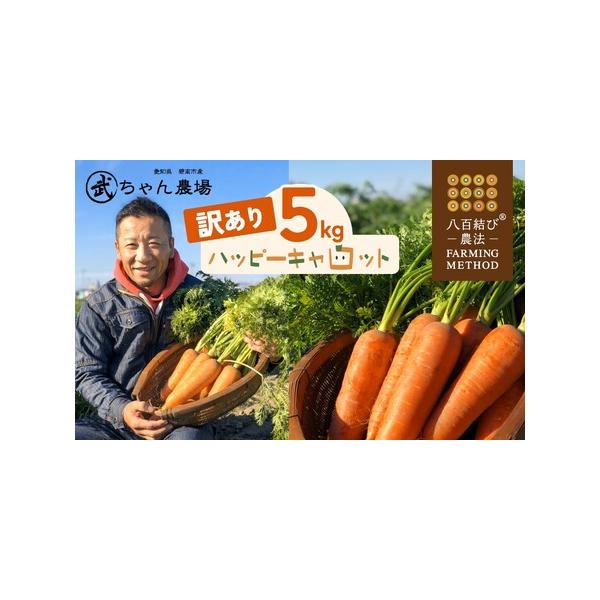 ■ 容量　【容量】　5kg(約20本)　　【アレルギー】　特定原材料8品目及び特定原材料に準ずる20品目は使用していません　　【消費期限】1か月程度　　【保存方法】野菜室や、日の当たらない涼しい場所■ 配送について　2025年12月から20...
