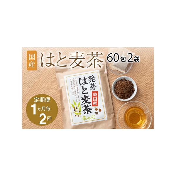 ふるさと納税 令和8年熊本地震復興支援 【1ヶ月毎2回定期便】国産はと麦茶 60包2袋 熊本県宇城市