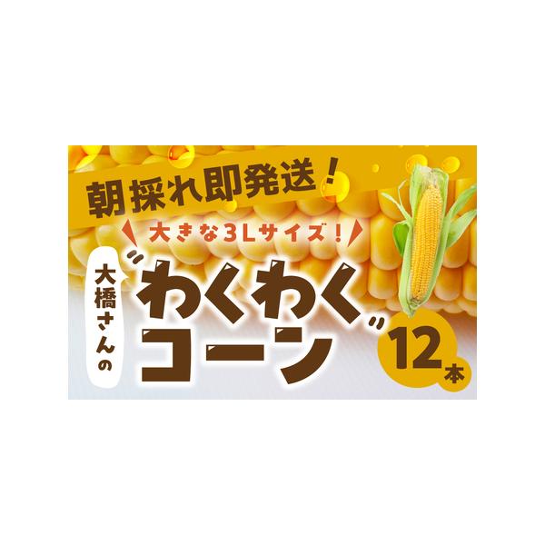 ■ 容量　わくわくコーン12本　■ 配送について　※生育状況により遅延する可能性がございます。ご了承ください。　※沖縄、離島など一部、配送不可のエリアがございます。※　タイプ：【冷蔵】