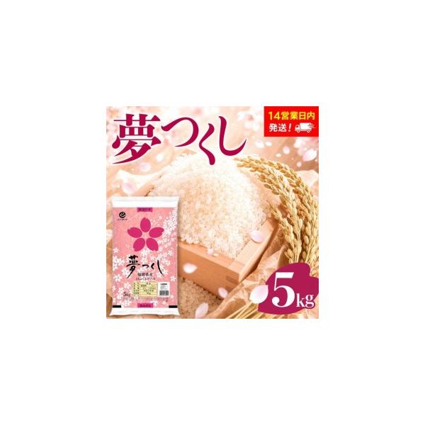 ふるさと納税 米 福岡県産米 夢つくし 5kg【スピード発送】CY008 福岡県大木町