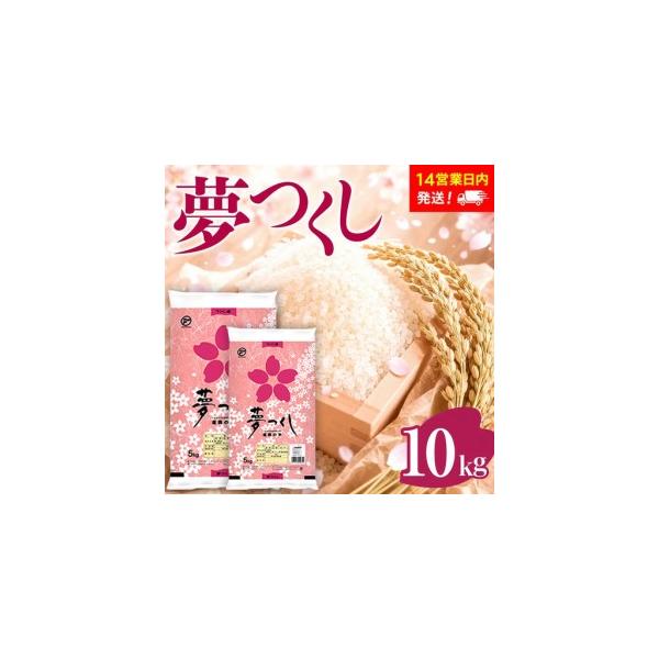 ふるさと納税 米 福岡県産米 夢つくし 10kg【スピード発送】CY009 福岡県大木町