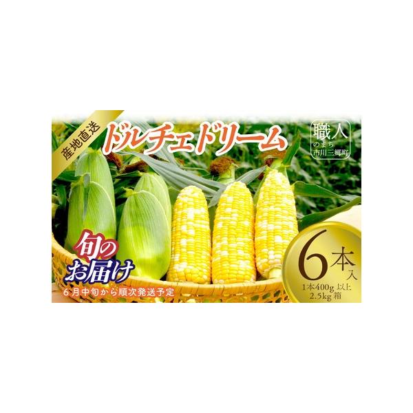 ■ 容量　【容量】　6本入り　1本400g以上　2.5kg箱　　【賞味期限】　ご到着後はお早めにお召し上がりください。■ 配送について　2026年6月中旬から順次発送　　＜配送について＞　・沖縄県は配送不可地域となります。　・返礼品は配送元...