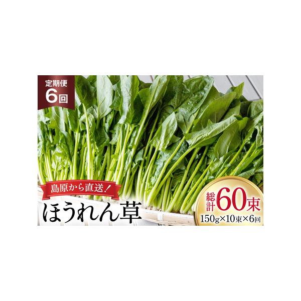 ■ 容量　■内容量　下記を毎月1回（全6回）お届け　ほうれん草 150g×10束　　■消費期限　発送から2週間程度（要冷蔵）　※到着後はお早めにお召し上がりください。■ 配送について　決済完了日の翌月または翌々月に初回発送（以降毎月発送）　...
