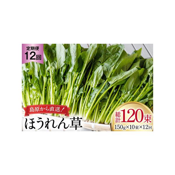 ■ 容量　■内容量　下記を毎月1回（全12回）お届け　ほうれん草 150g×10束　　■消費期限　発送から2週間程度（要冷蔵）　※到着後はお早めにお召し上がりください。■ 配送について　決済完了日の翌月または翌々月に初回発送（以降毎月発送）...