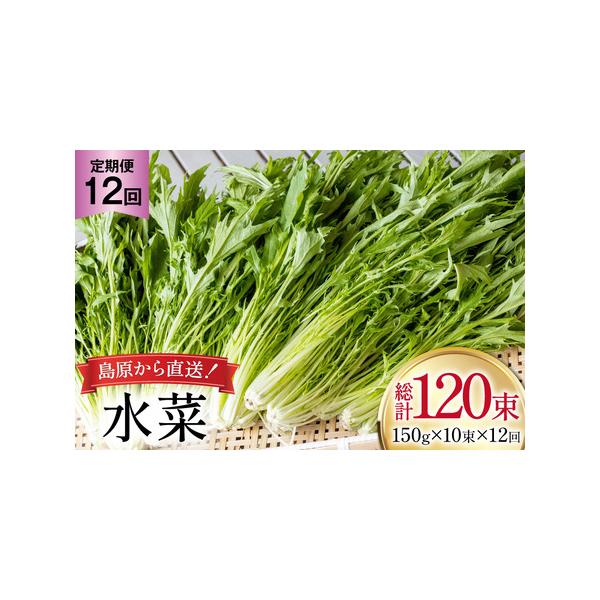 ■ 容量　■内容量　下記を毎月1回（全12回）お届け　水菜 150g×10束　　■消費期限　発送から2週間程度（要冷蔵）　※到着後はお早めにお召し上がりください。■ 配送について　決済完了日の翌月または翌々月に初回発送（以降毎月発送）　※在...