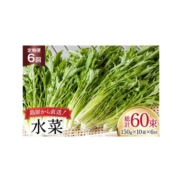 ■ 容量　■内容量　下記を毎月1回（全6回）お届け　水菜 150g×10束　　■消費期限　発送から2週間程度（要冷蔵）　※到着後はお早めにお召し上がりください。■ 配送について　決済完了日の翌月または翌々月に初回発送（以降毎月発送）　※在庫...