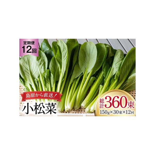 ■ 容量　■内容量　下記を毎月1回（全12回）お届け　小松菜 150g×30束　　■消費期限　発送から2週間程度（要冷蔵）　※到着後はお早めにお召し上がりください。■ 配送について　決済完了日の翌月または翌々月に初回発送（以降毎月発送）　※...