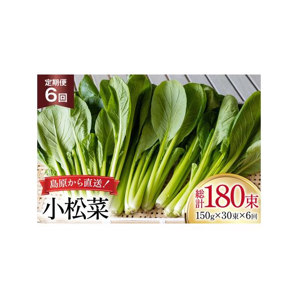 ■ 容量　■内容量　下記を毎月1回（全6回）お届け　小松菜 150g×30束　　■消費期限　発送から2週間程度（要冷蔵）　※到着後はお早めにお召し上がりください。■ 配送について　決済完了日の翌月または翌々月に初回発送（以降毎月発送）　※在...