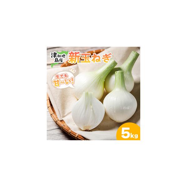 ■ 容量　新玉ねぎ 約5kg■ 配送について　常温便、別送　　■発送期日:2026年2月上旬〜3月上旬頃　＊順次発送いたします。天候・収穫状況により、発送予定から前後する場合がございます。　タイプ：【常温】